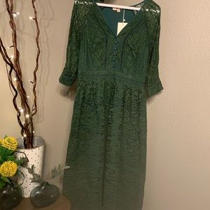 Metisu green lace dress deals